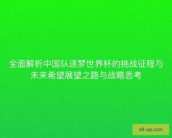 全面解析中国队逐梦世界杯的挑战征程与未来希望展望之路与战略思考